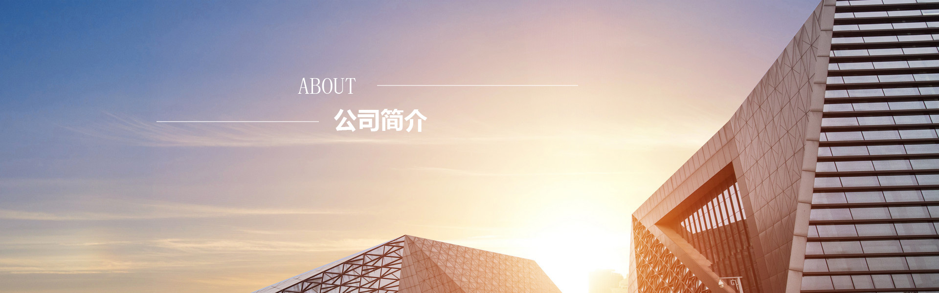 關(guān)于立克普